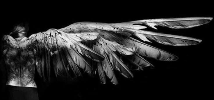 Banner portofolio
